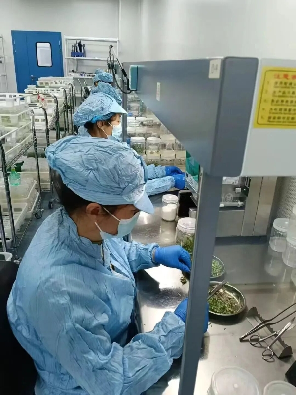 黄河三角洲农业高新技术产业示范区技术推广的实践与探索