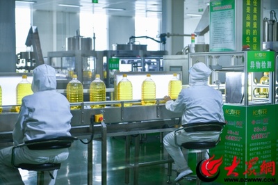 长寿花食品股份 以科技创新驱动企业发展与技术推广